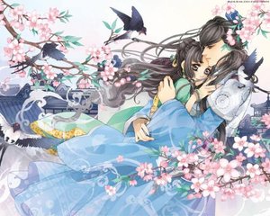 猫咪社区视频在线观看免费完整版